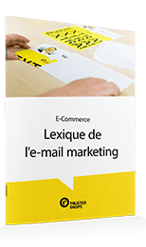 whitepaperTeaser-Lexique-email-marketing.png