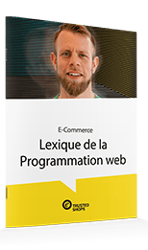 whitepaperTeaser-lexique-programmation-web.png