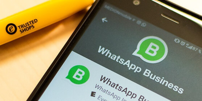 whatsapp business illustration 