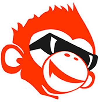 Auteur invité Online Marketing Monkey